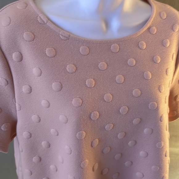 W5 size M pink dusty rose color dotted short sleeve knit top - Picture 4 of 12